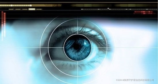 眼睛中的密码-虹膜识别