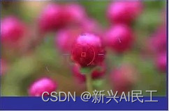 模糊图