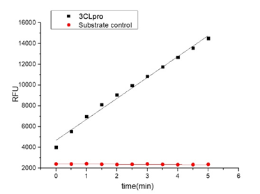 3CLpro-抗新冠病毒药物研究首选靶点