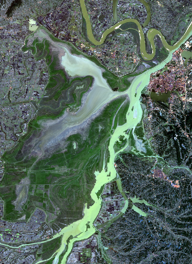 ![在这里插入图片描述