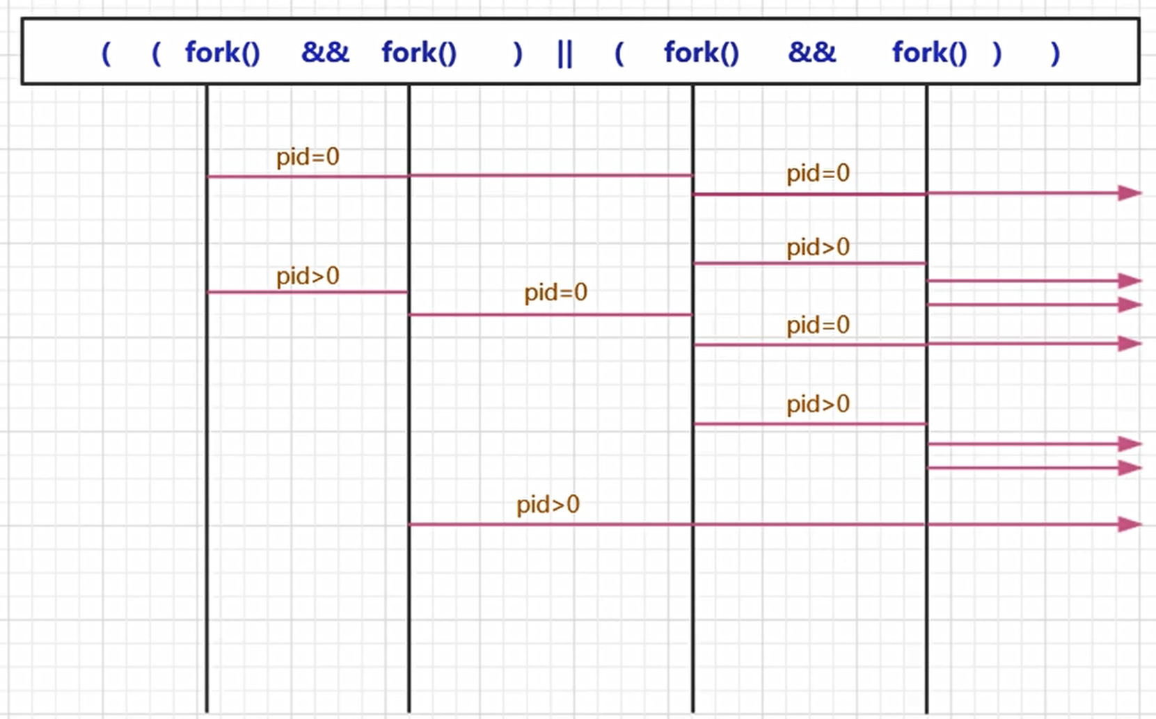 fork() 函数进一步认识_fork()在编程什么意思-CSDN博客