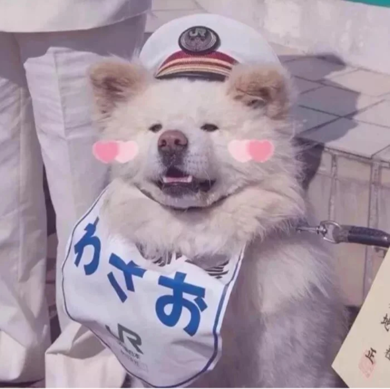 前端必备技能——轮播图（原生代码+插件）