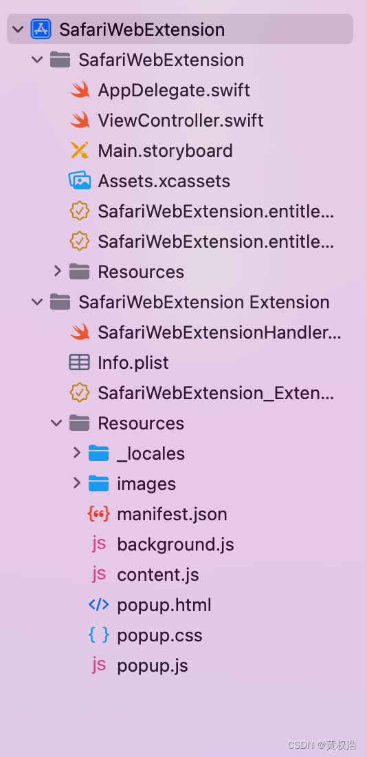 创建了一个新的Safari web extension