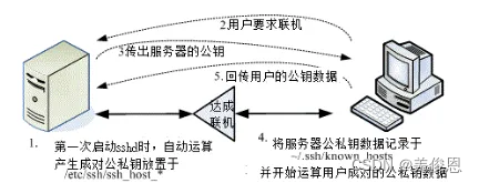 ここに画像の説明を挿入