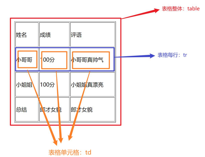 表格的基本标签