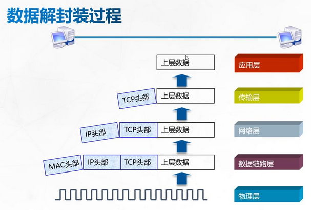 TCP／IP协议栈模型分析_本配置项中,控制面ip配置为多少,说明为什么?(可以从协议栈的角度进行分析。)-CSDN博客