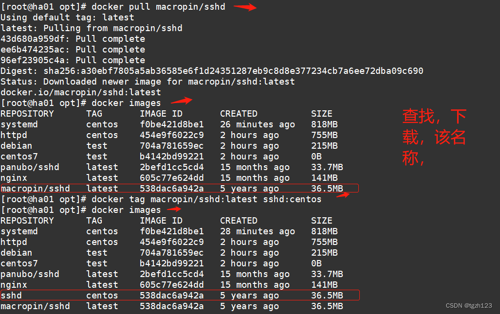 Docker资源控制和镜像