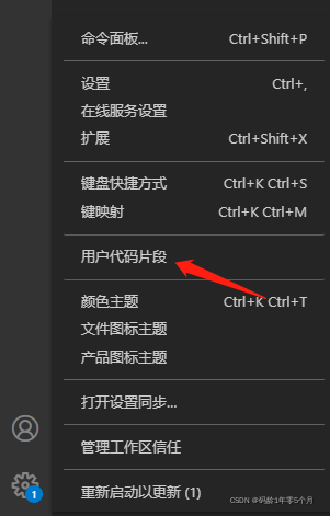 VSCode设置vue代码片段