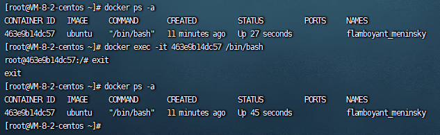 exec进入容器退出示例