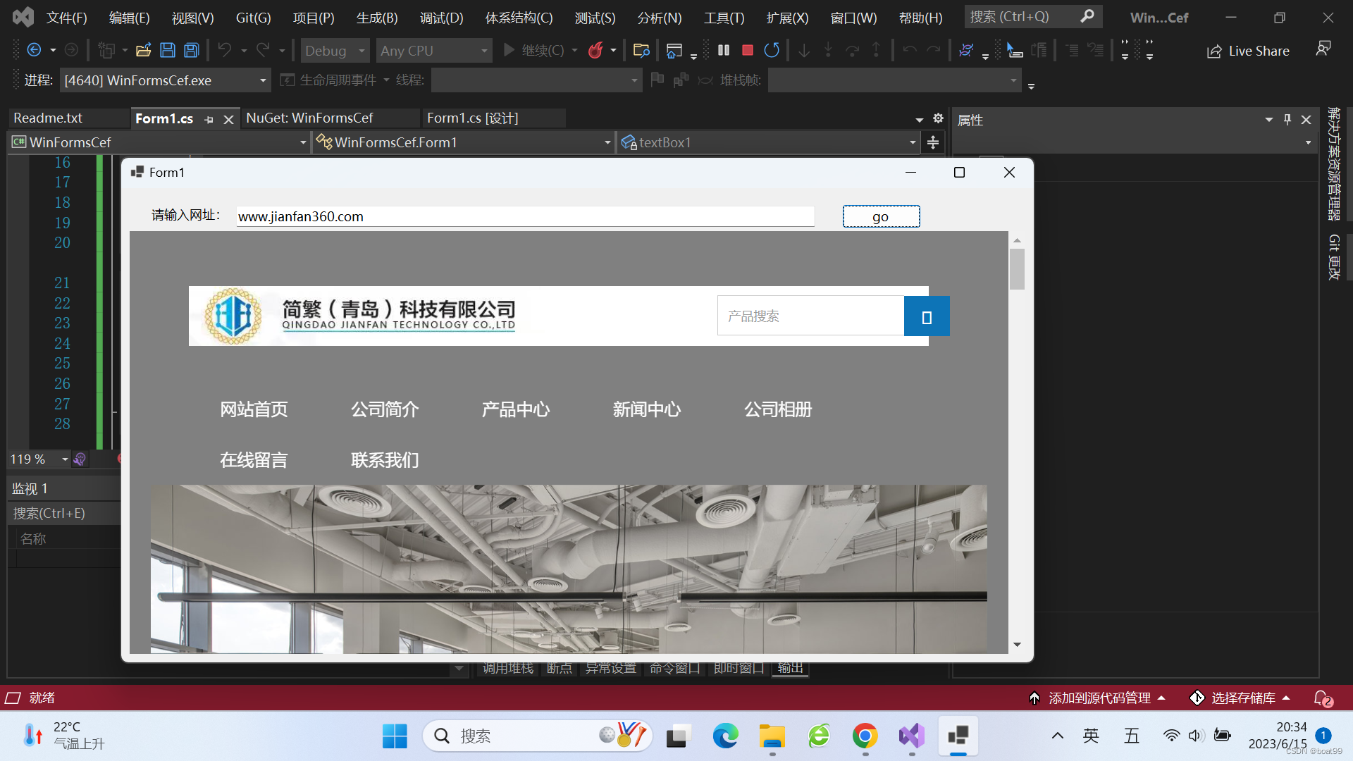 cef支持.net6.0