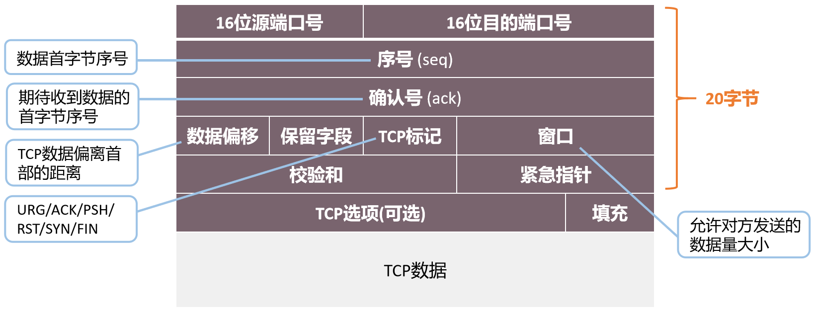 TCP报文结构