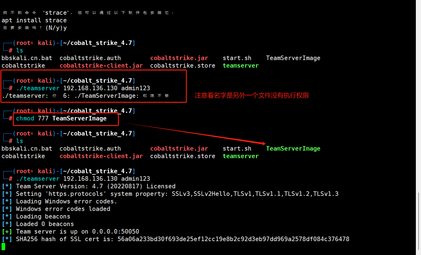 cobalt_strike_4.7启动报错.teamserver: 行 6: .TeamServerImage: 权限不够(解决方法)