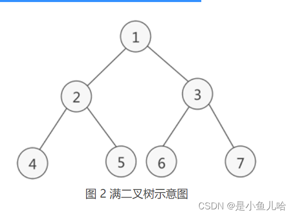 《Java数据结构》这些树和二叉树的性质你还记得吗？