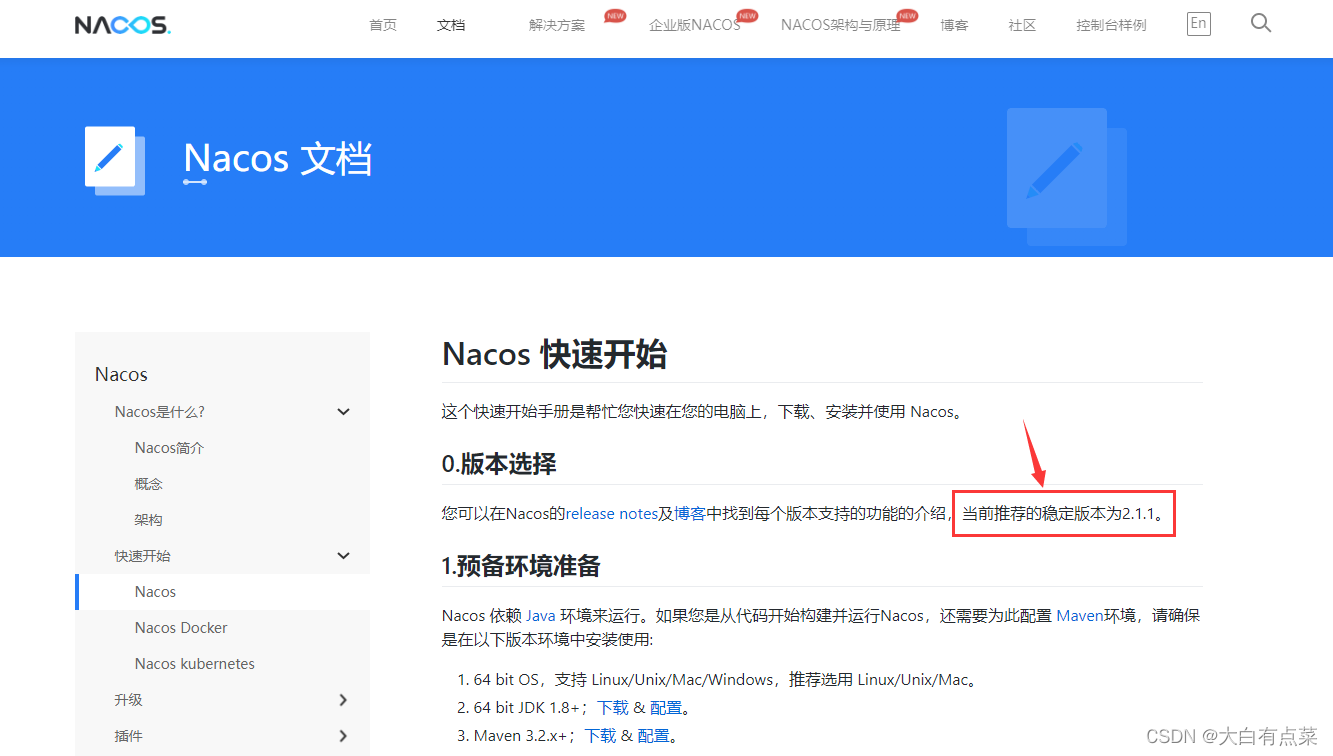 稳定版nacos-2.1.1