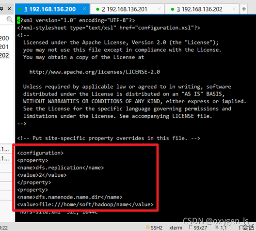 Esxi Oxygen Ls CSDN