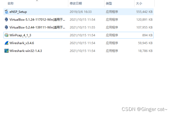 eNSP安装教程_ensp安装包-CSDN博客