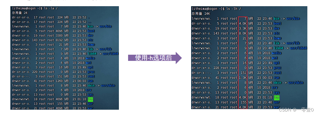 Linux命令-文件展示