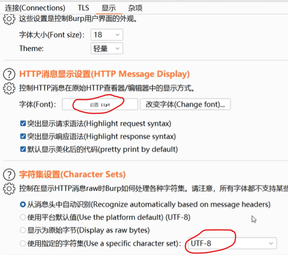 章节2：Burp Suite配置启动