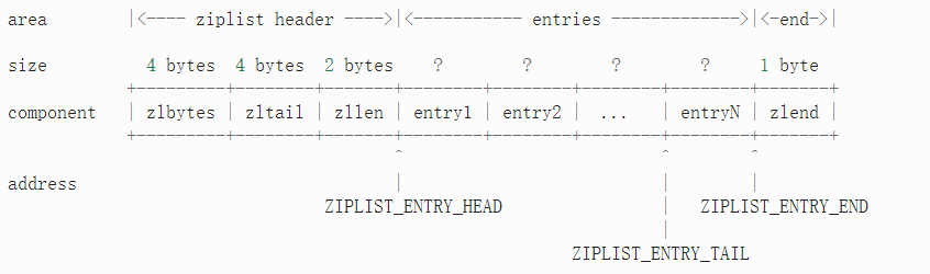 ziplist