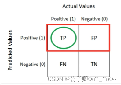 模型预测为1，真正为1的百分比