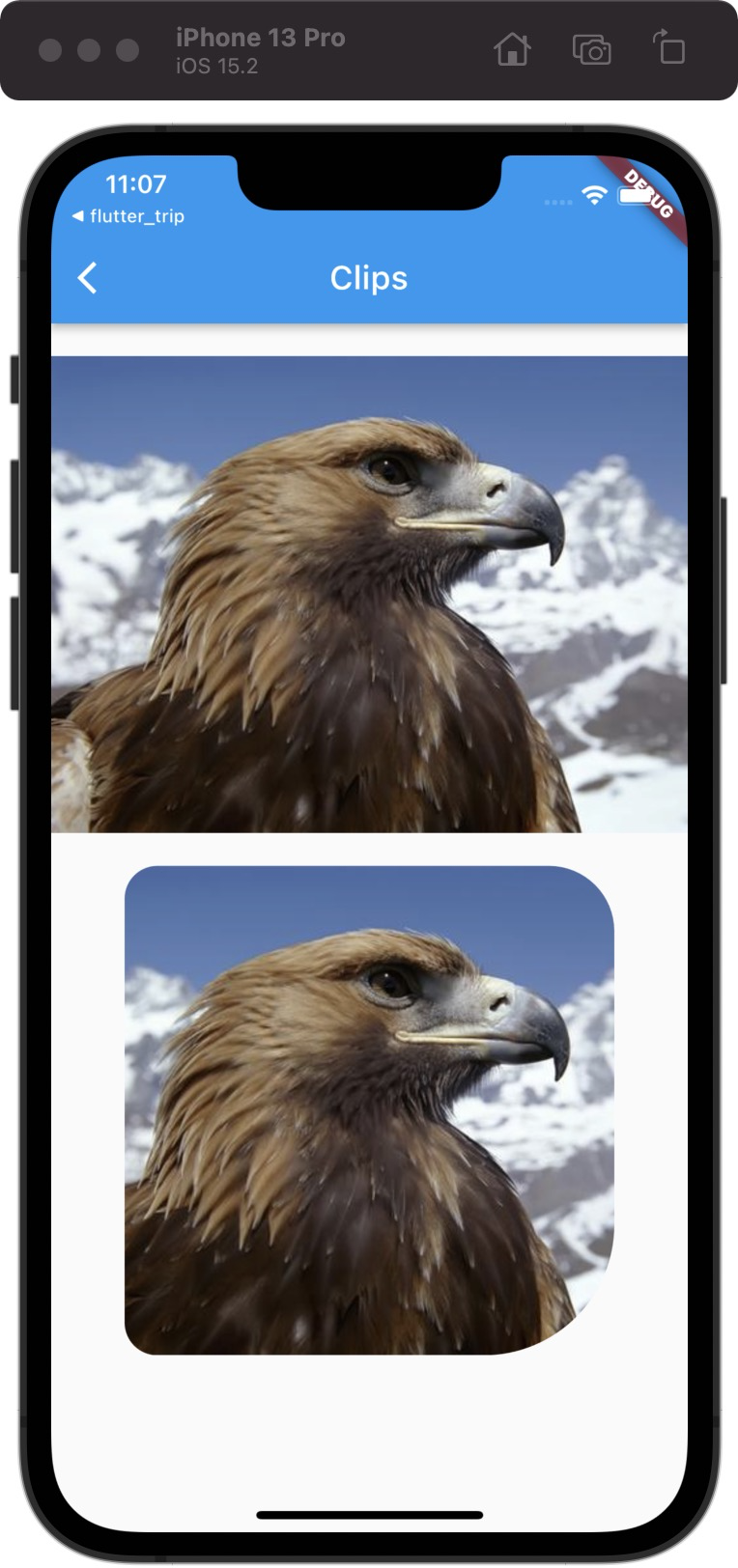 15、 Flutter Widgets 之 ClipRect,ClipRRect，ClipOval，ClipPath ...