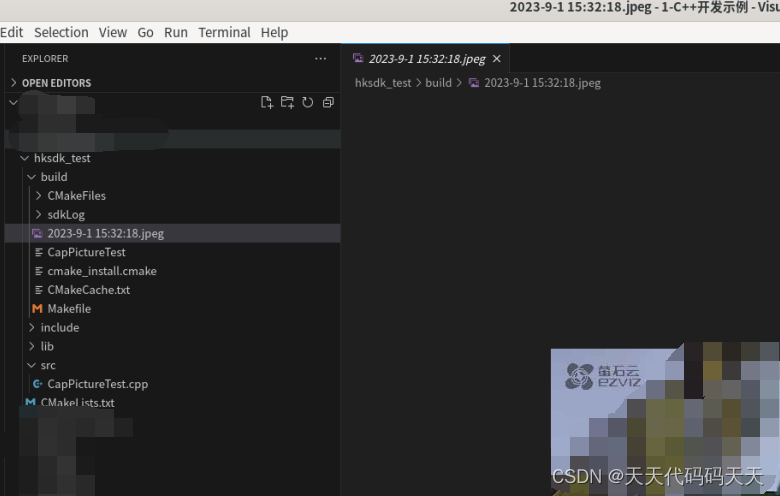 linux C++ 海康截图Demo