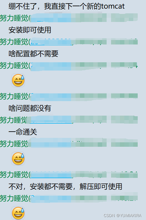tomcat 闪退/一闪而过 问题