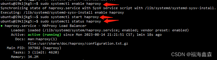 ubuntu部署haproxy