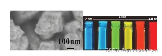 单-(6-巯基)-β-环糊精修饰近红外发光CdSe量子点|二氧化硅包裹钯掺杂无机钙钛矿量子点（CsPbPdBrCl@SiO量子点）