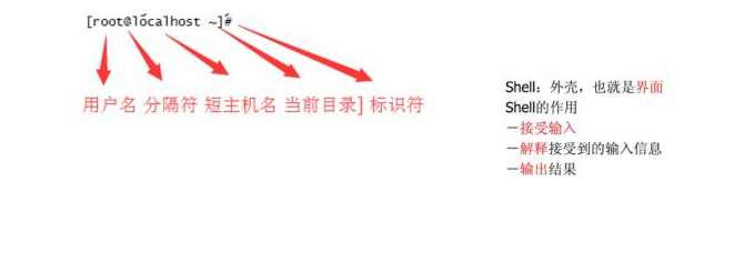 软件测试基础知识 Linux 基础知识 Shell 文件与目录管理 用户 权限操作等 小码哥说测试的博客 Csdn博客 Gui Shell