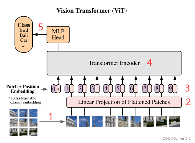 ViT网络结构