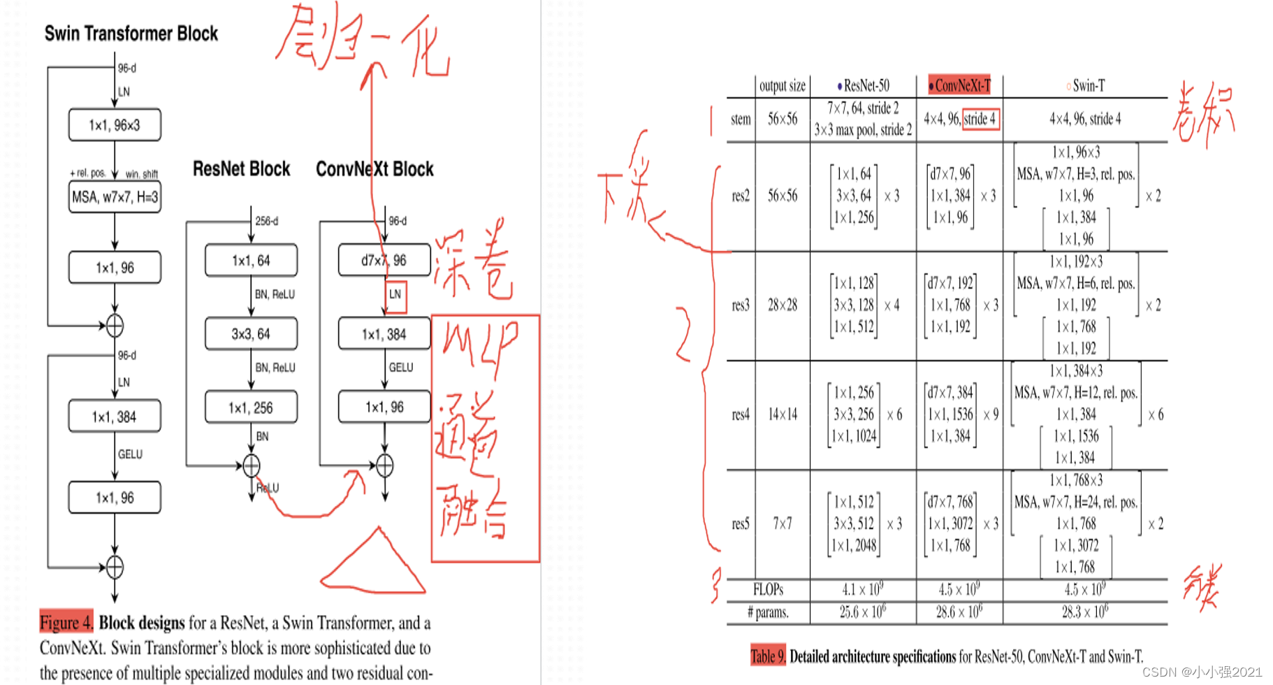 论文阅读：A ConvNet for the 2020s