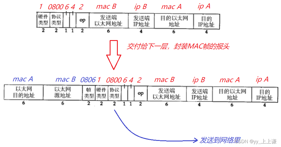 【Linux】MAC帧协议 + ARP协议