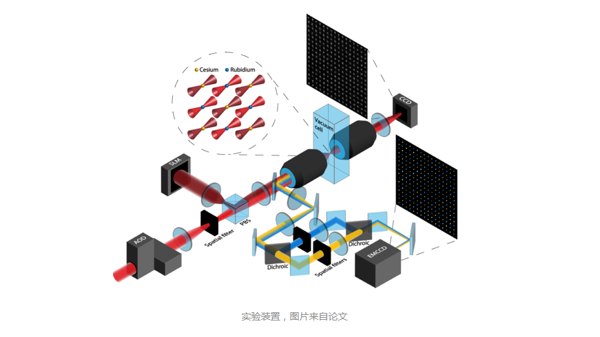 量子计算重大突破：科学家实现512个量子位的中性原子体系