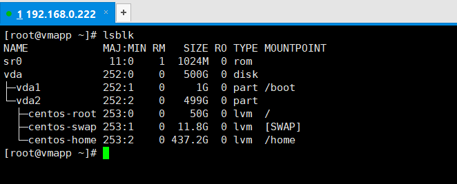 Linux服务器磁盘挂载