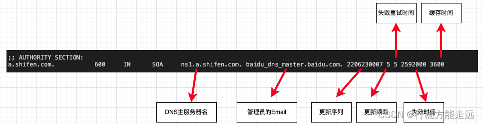 DNS基础：通过dig命令理解DNS域名解析中的A记录，AAAA记录，CNAME记录，MX记录，NS记录，/etc/hosts本地域名IP映射