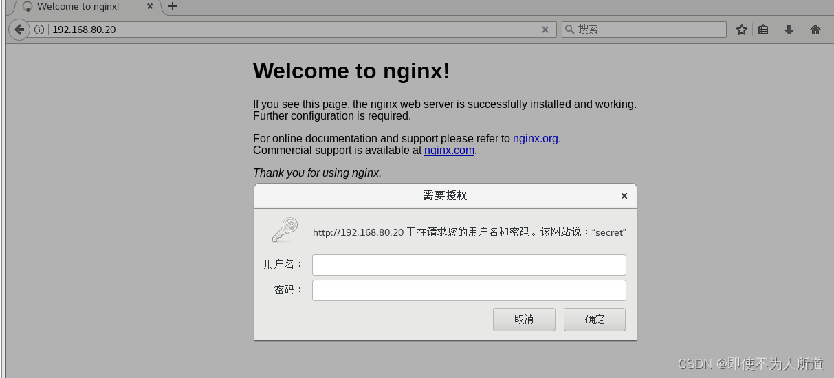Nginx网站服务（Nginx虚拟主机的搭建）