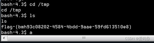 Shellshock-破壳漏洞bash命令执行 CVE-2014-6271