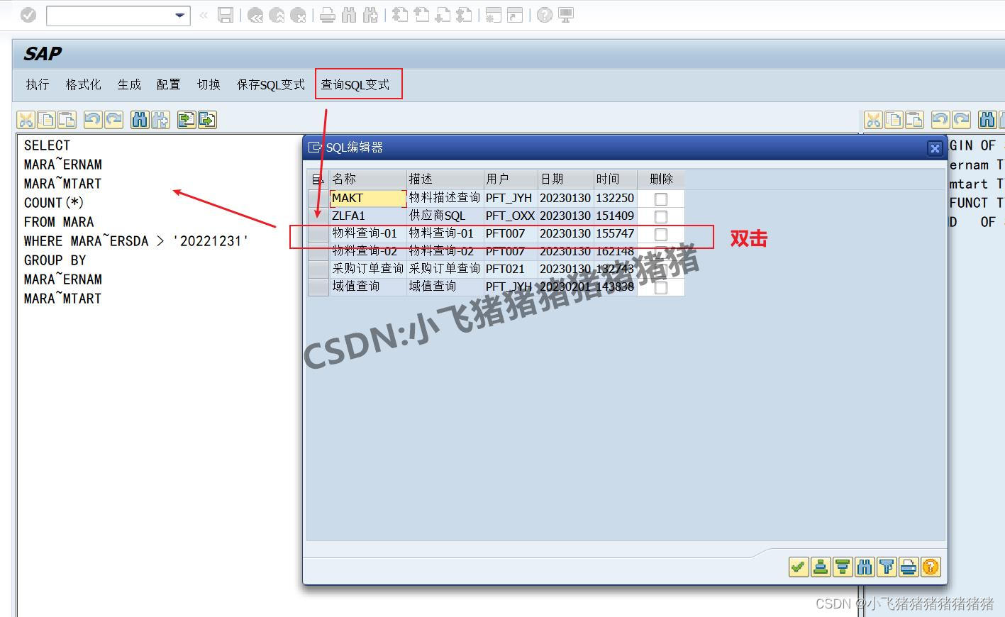 SAP 自定义SQL编辑器