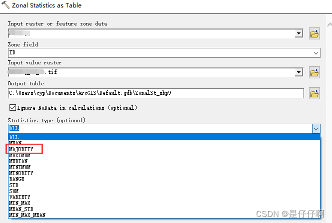 Arcgis 分区统计majority参数统计问题