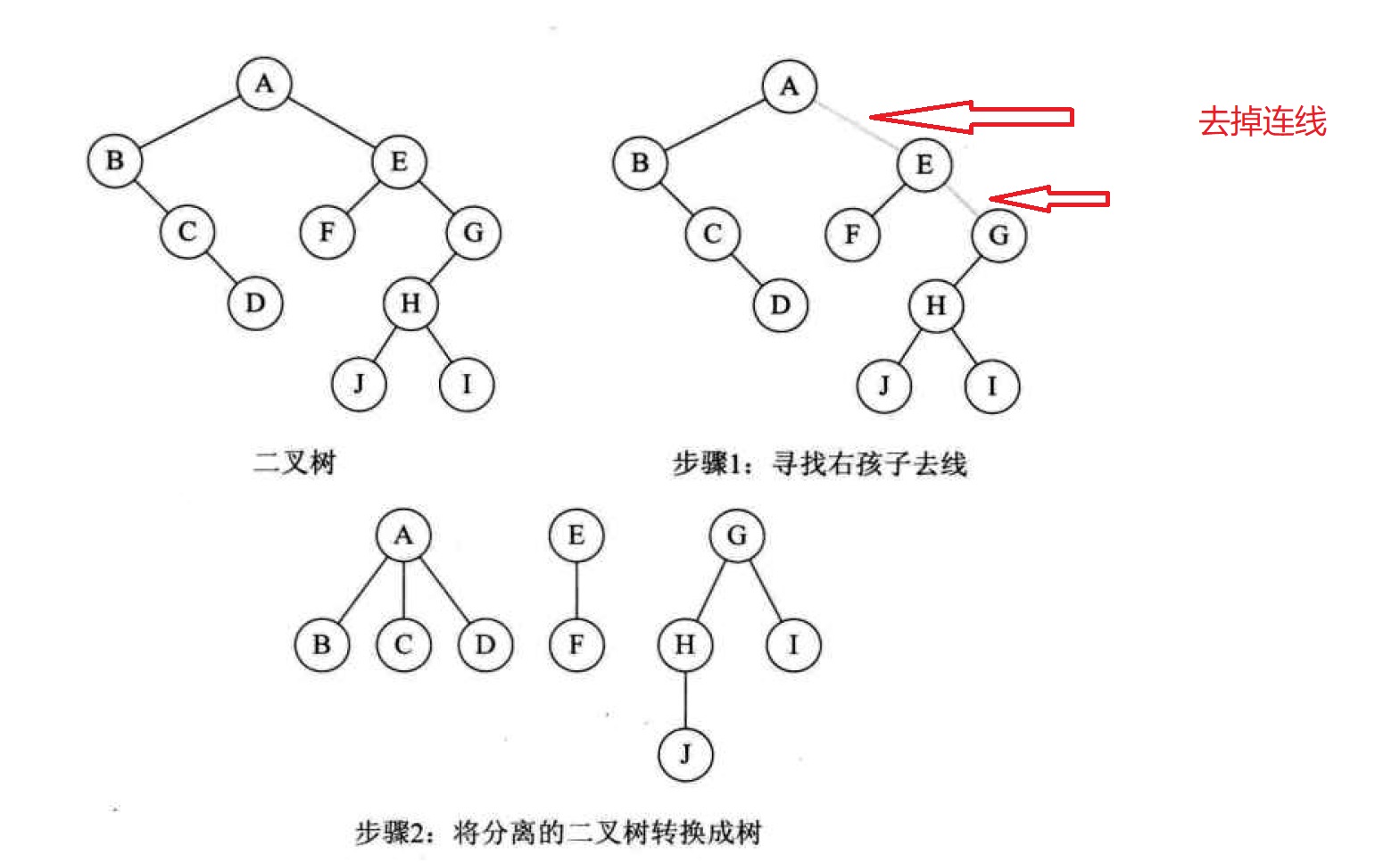 二叉树转森林