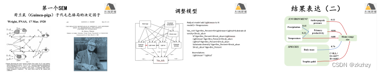 R语言生物群落数据统计分析