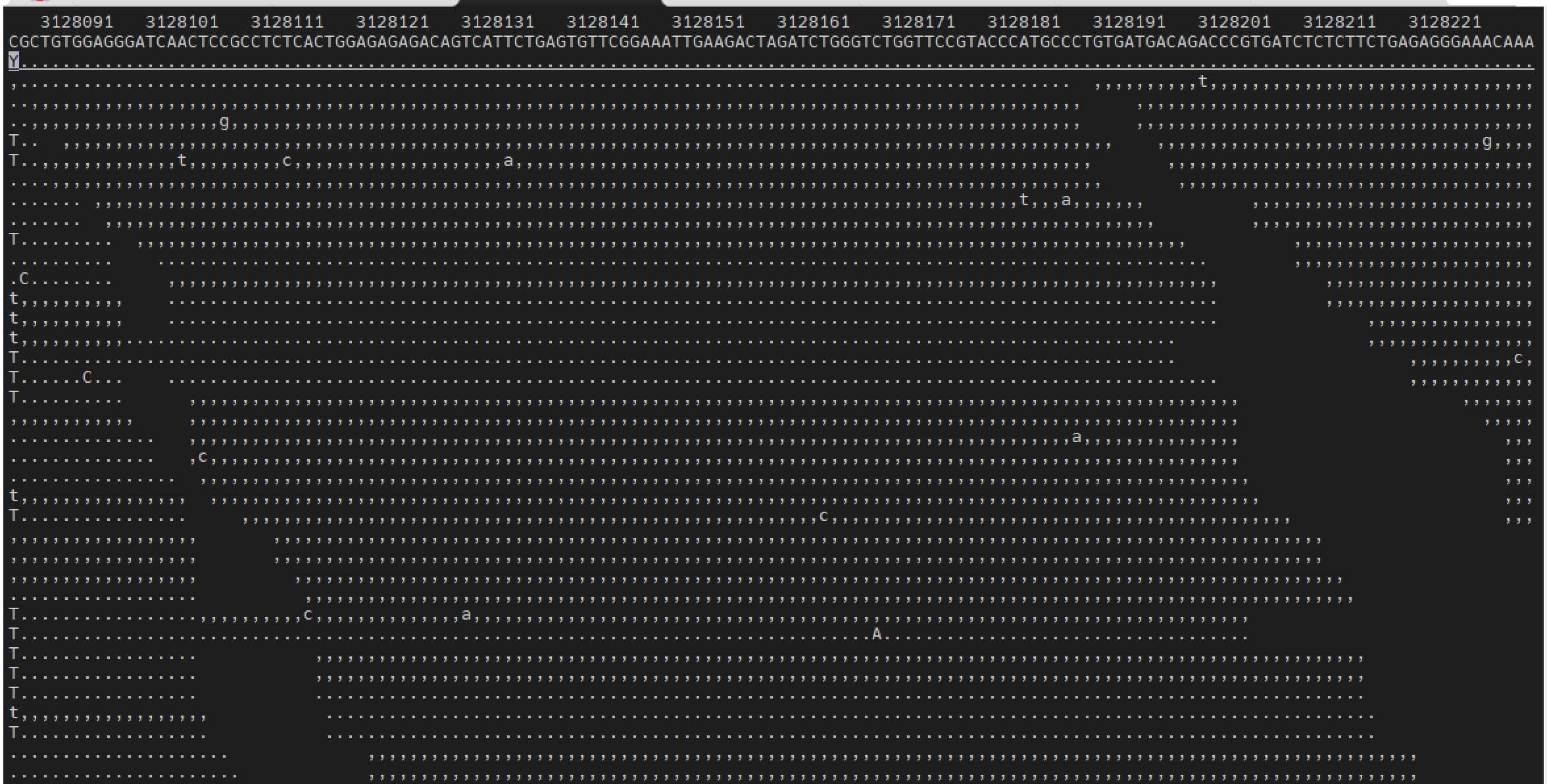 bam 可视化:samtools tview 详细解释-CSDN博客
