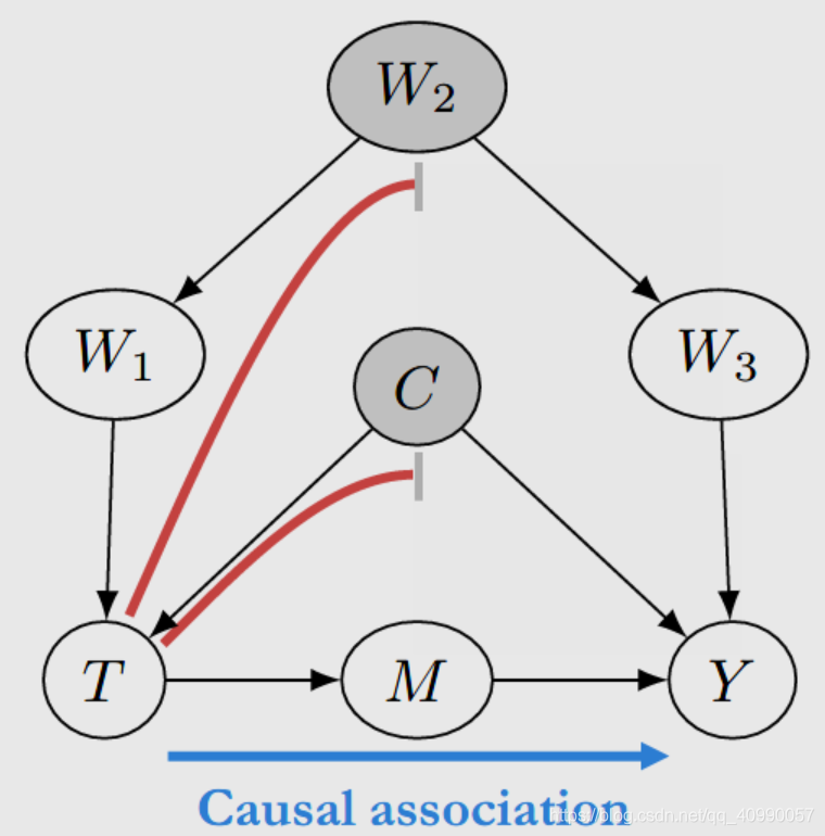 Introduction to Causal Inference：Chapter 1因果推断概论-CSDN博客