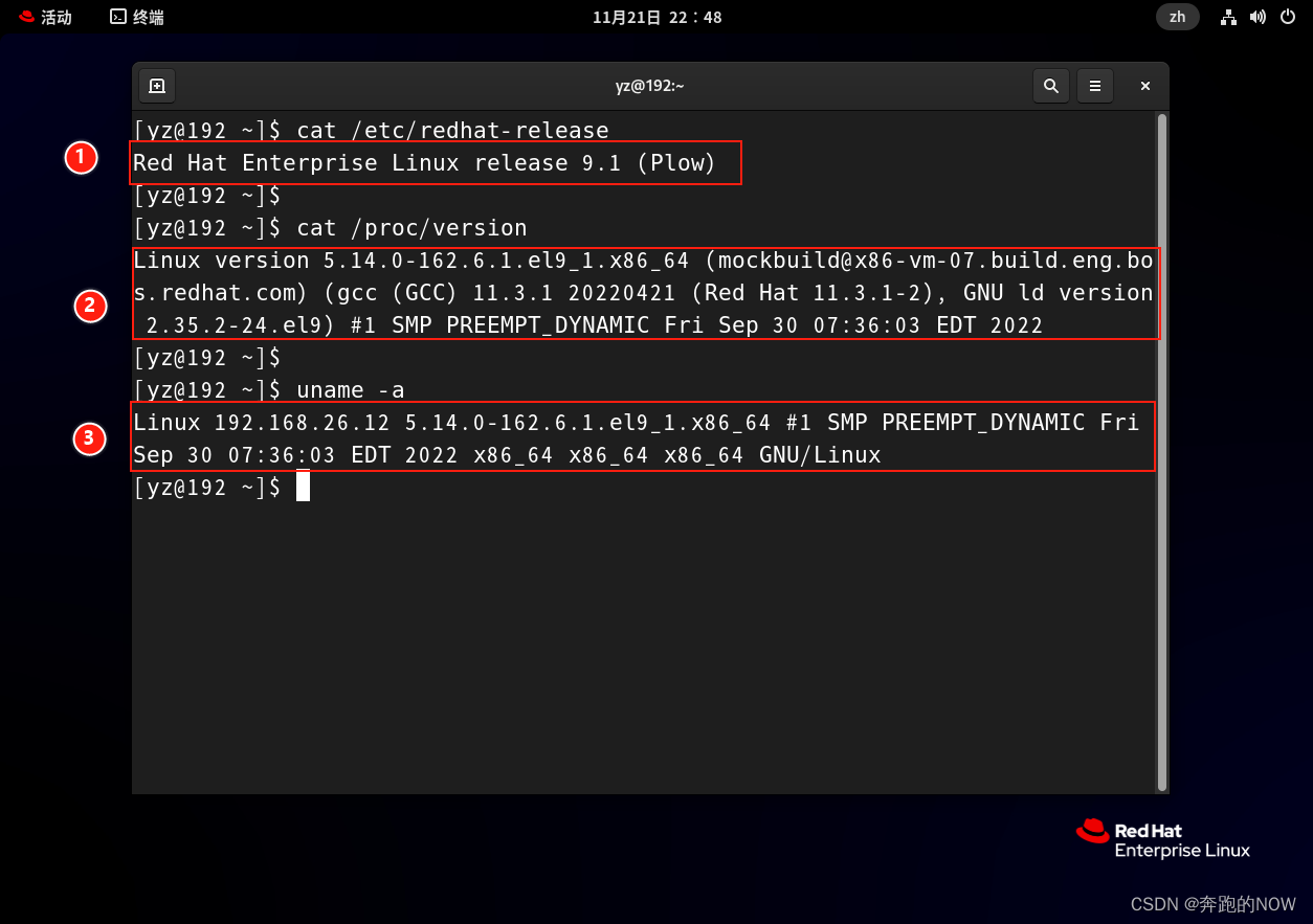 安装 Red Hat Enterprise Linux 9.1 虚拟机