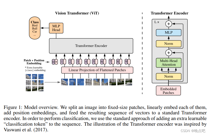 VIT模型架构