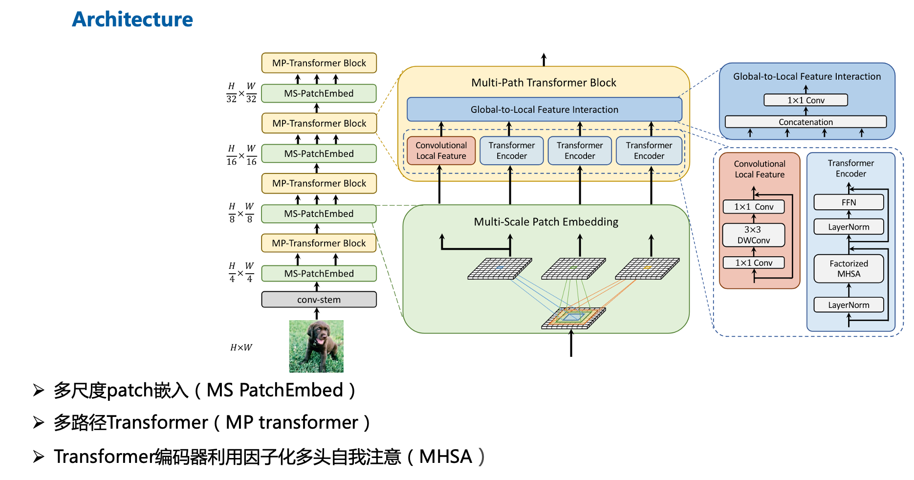 Mvit Form 论文阅读:MPViT : Multi-Path Vision Transformer for Dense Prediction_mvit 论文 ...