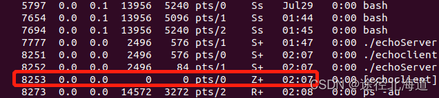 TCP/IP网络编程(8) 基于Linux的多进程服务器