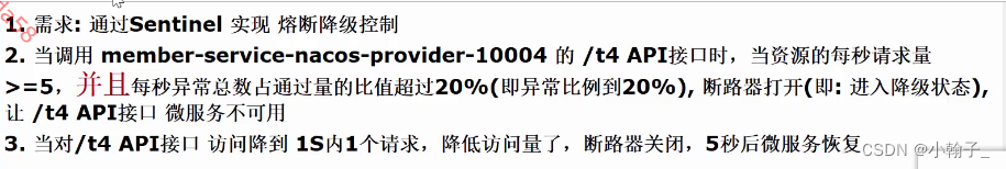 [外链图片转存失败,源站可能有防盗链机制,建议将图片保存下来直接上传(img-hnxqRIx3-1670145631569)(E:\Java资料\韩顺平Java\资料\SpringCloud\笔记\10.SpringCloud Alibaba Sentinel.assets\image-20221124151042317.png)]