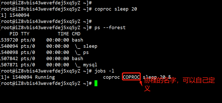 什么情况下会开启子shell Shell 进阶 Myysophia的博客 Csdn博客 启动子shell